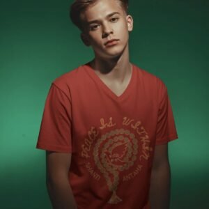 mens v-neck t-shirt red.png